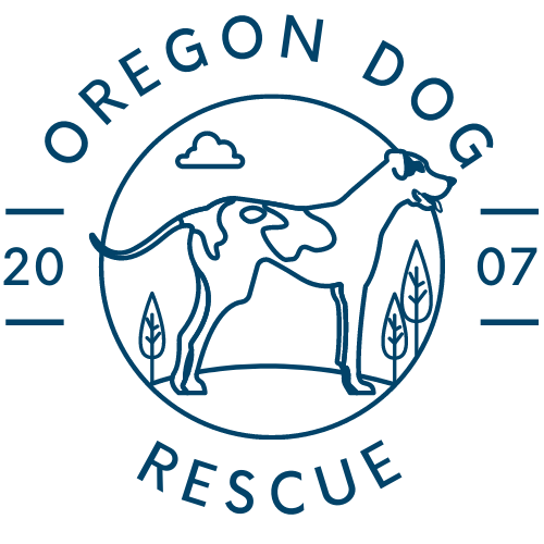 Oregon Dog Rescue 2024 Oregon Dog Rescue Calendar Contest Sponsored